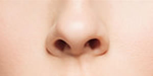 鼻の悩み（隆鼻（りゅうび）術、鼻翼縮小術、鼻尖（びせん）形成術）は美容外科・形成外科の専門医がおこないます－東京八丁堀皮膚科・形成外科